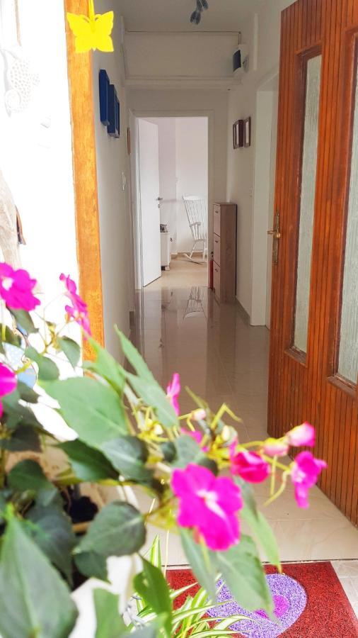 Apartmani Crikvenica 30098 - Dijana Oda fotoğraf